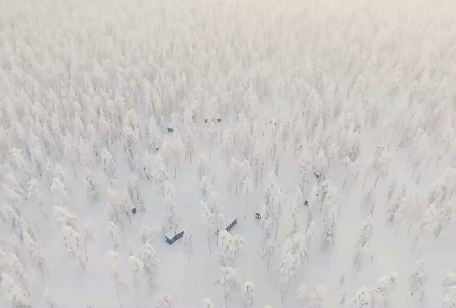 Holiday cabins in Lapland in a snowy landscape under the northern lights